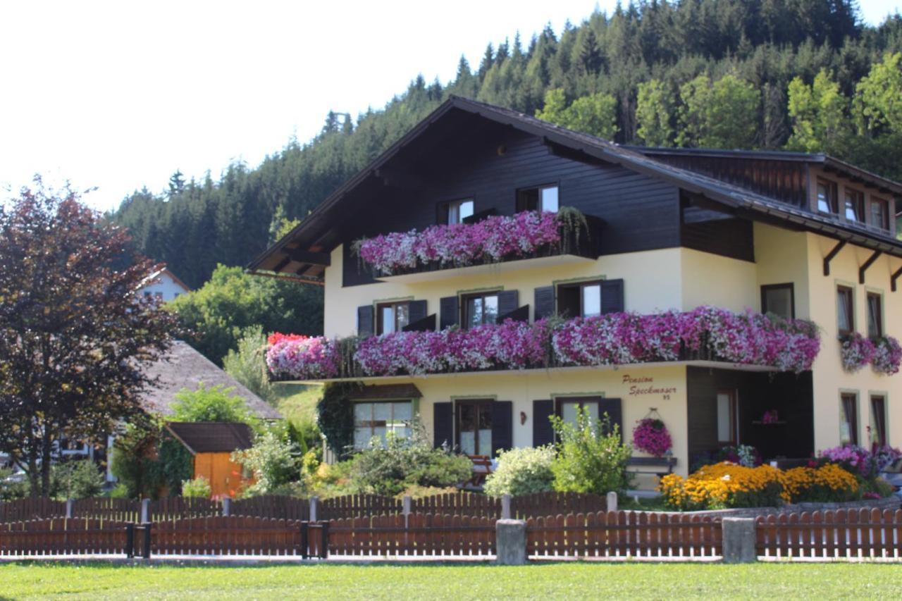 Pension Speckmoser Bad Mitterndorf Eksteriør billede