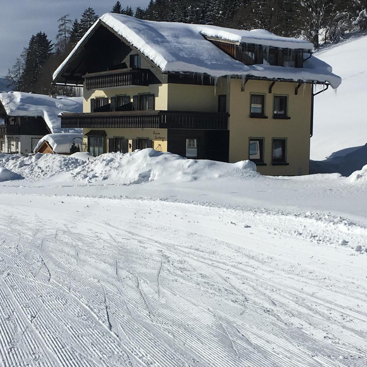 Pension Speckmoser Bad Mitterndorf Eksteriør billede